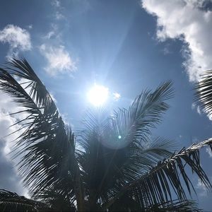 Meet your Posher, Amelia